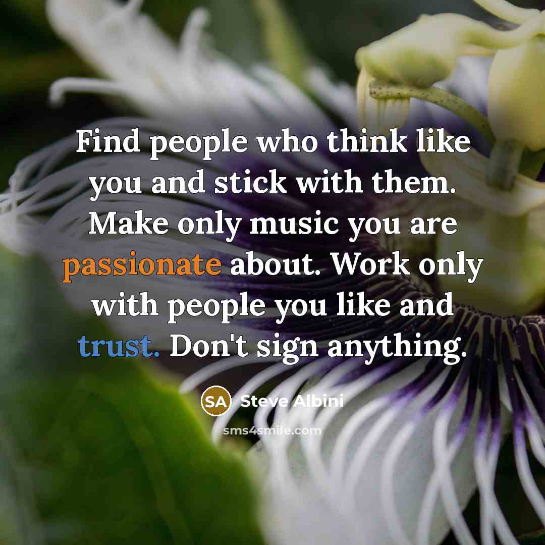 “Find people who think like you and stick with them. Make only music you are passionate about. Work only with people you like and trust. Don't sign anything.” quote by Steve Albini