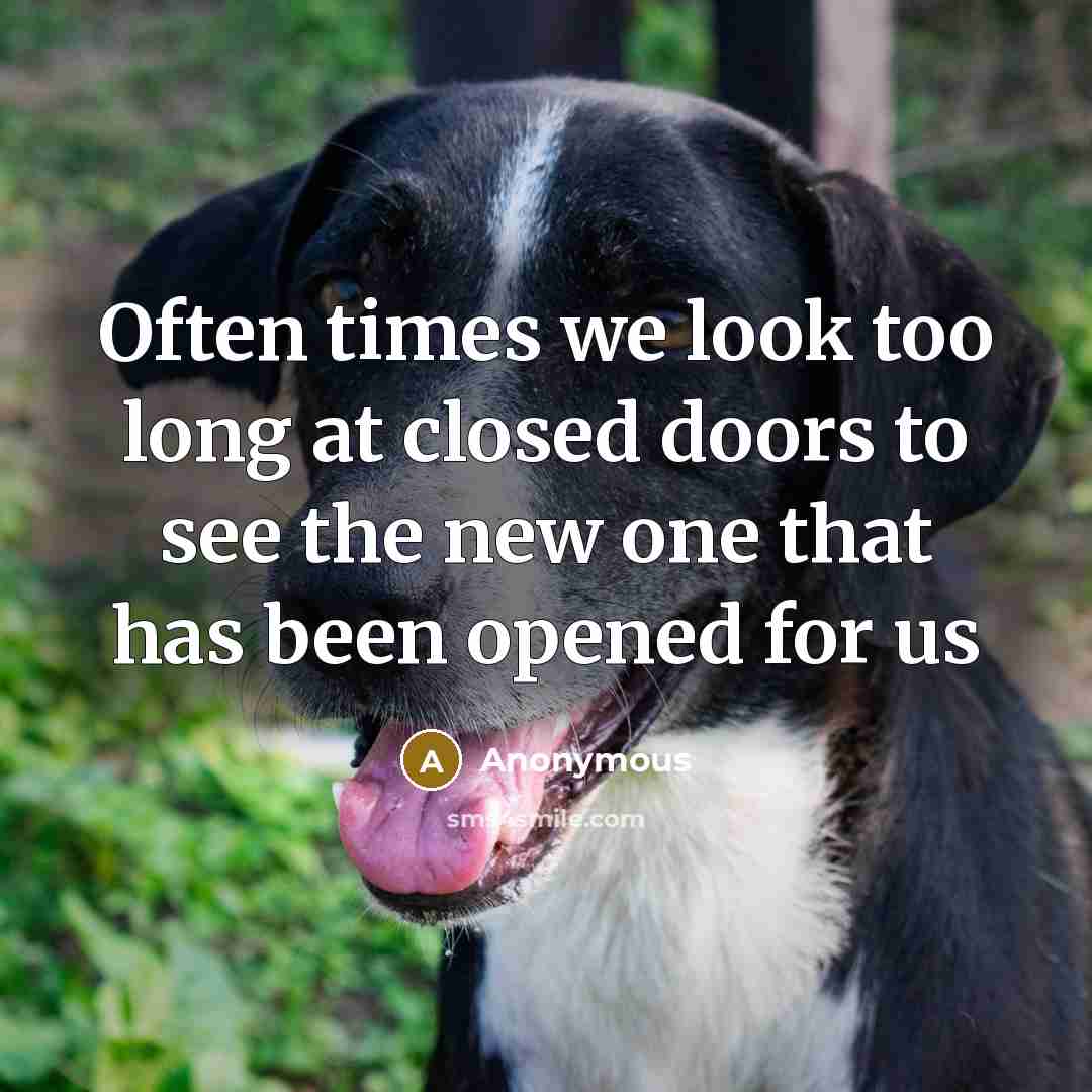 “Often times we look too long at closed doors to see the new one that has been opened for us” quote by Anonymous