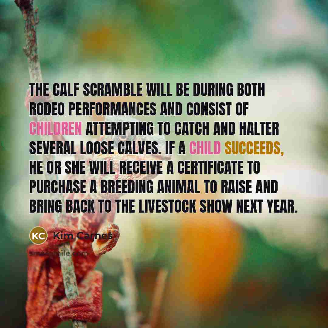 “The calf scramble will be during both rodeo performances and consist of children attempting to catch and halter several loose calves. If a child succeeds, he or she will receive a certificate to purchase a breeding animal to raise and bring back to the livestock show next year.” quote by Kim Carnes