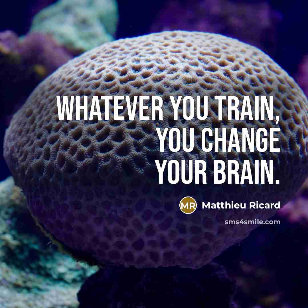 “Whatever you train, you change your brain.” quote by Matthieu Ricard