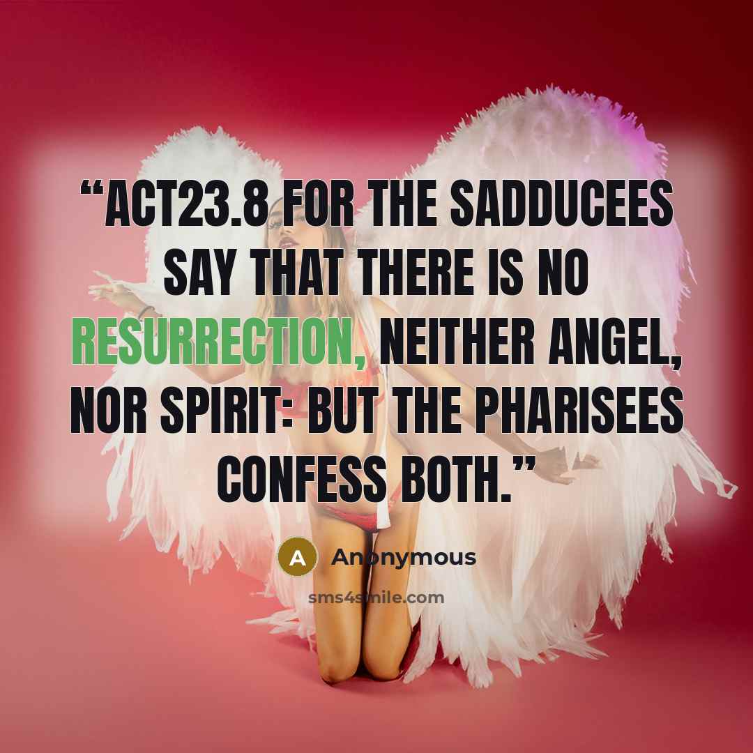 “ACT23.8 For the Sadducees say that there is no resurrection, neither angel, nor spirit: but the Pharisees confess both.” quote by Anonymous