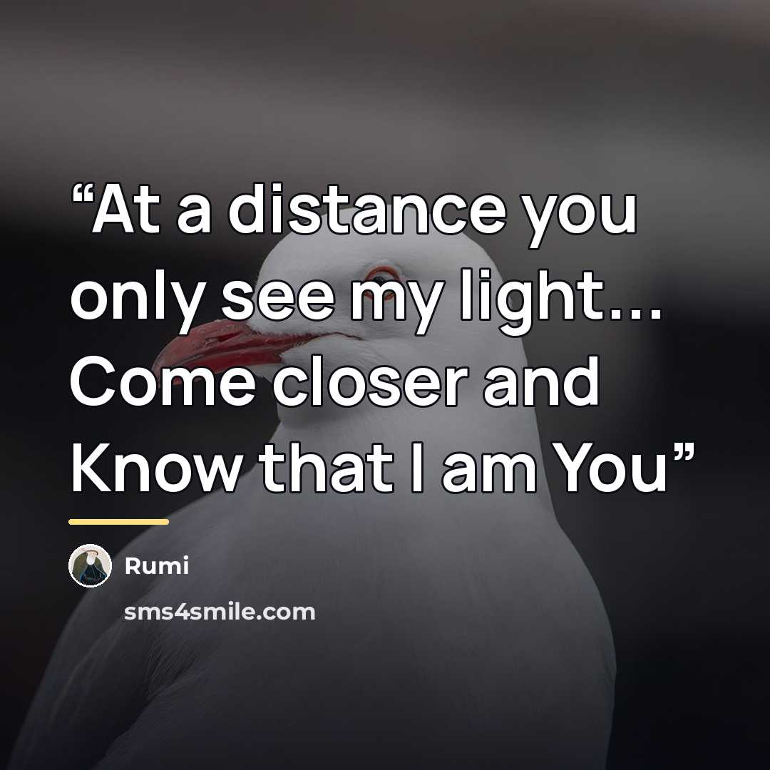 “At a distance you only see my light... Come closer and Know that I am You” quote by Rumi