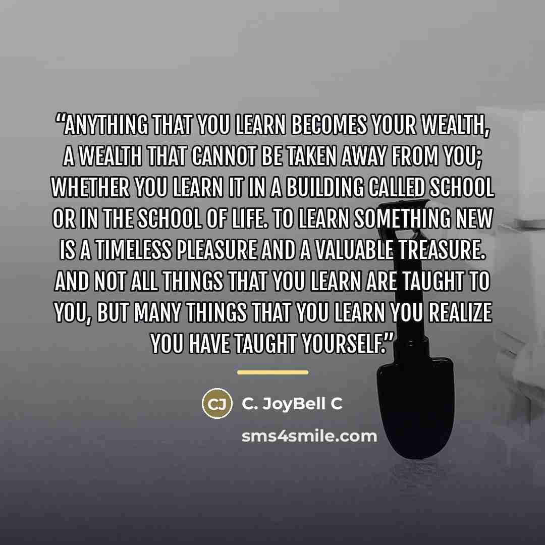 “Anything that you learn becomes your wealth, a wealth that cannot be taken away from you; whether you learn it in a building called school or in the school of life. To learn something new is a timeless pleasure and a valuable treasure. And not all things that you learn are taught to you, but many…” quote by C. JoyBell C