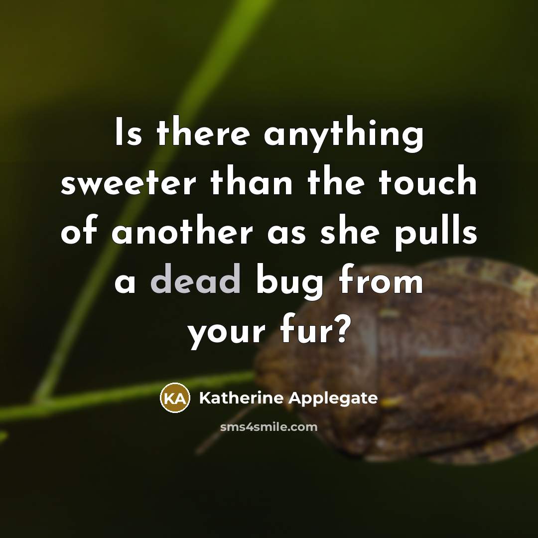 “Is there anything sweeter than the touch of another as she pulls a dead bug from your fur?” quote by Katherine Applegate