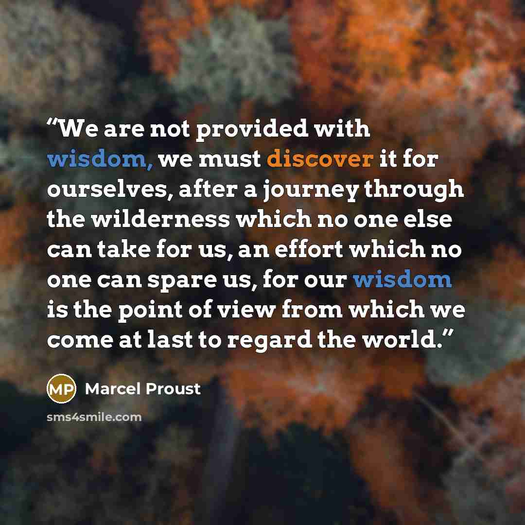 “We are not provided with wisdom, we must discover it for ourselves, after a journey through the wilderness which no one else can take for us, an effort which no one can spare us, for our wisdom is the point of view from which we come at last to regard the world.” quote by Marcel Proust