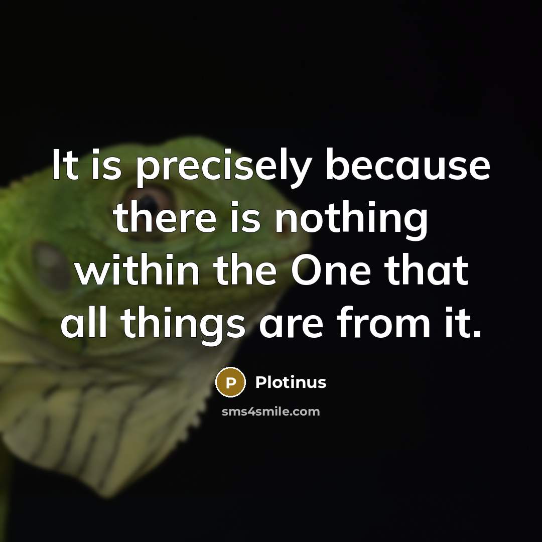 “It is precisely because there is nothing within the One that all things are from it.” quote by Plotinus
