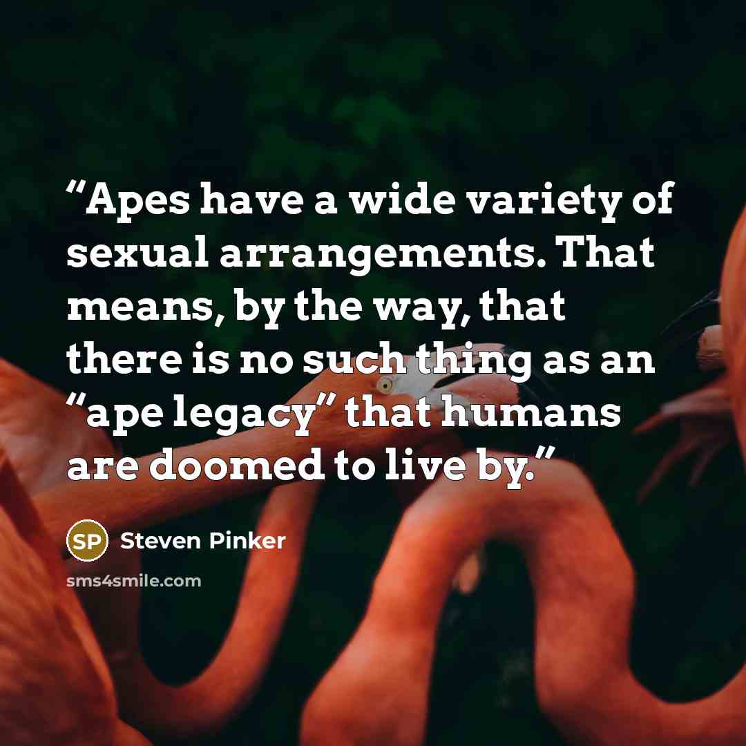 “Apes have a wide variety of sexual arrangements. That means, by the way, that there is no such thing as an “ape legacy” that humans are doomed to live by.” quote by Steven Pinker