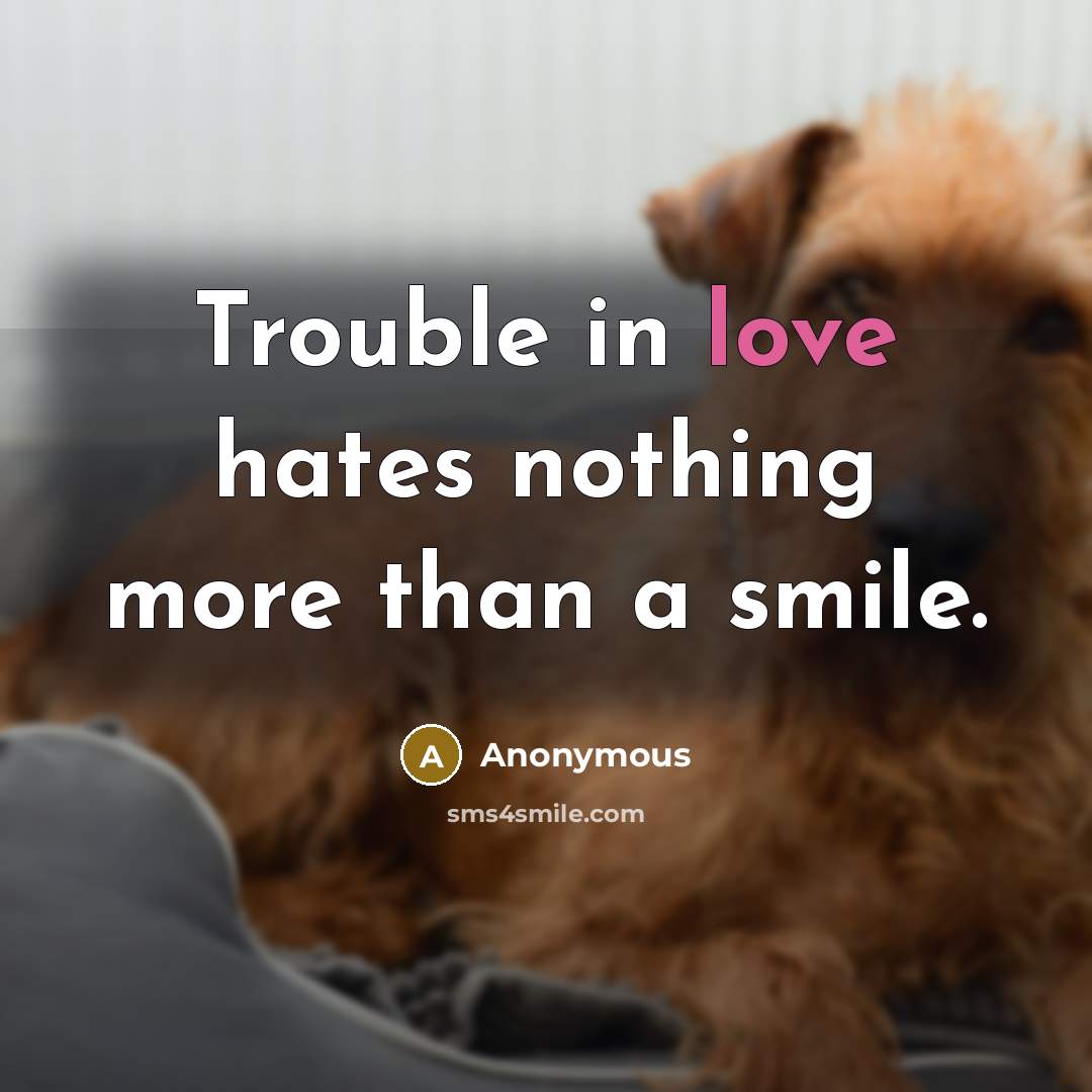 “Trouble in love hates nothing more than a smile.” quote by Anonymous