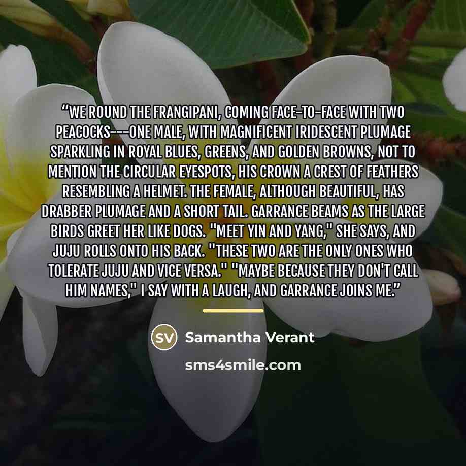 “We round the frangipani, coming face-to-face with two peacocks---one male, with magnificent iridescent plumage sparkling in royal blues, greens, and golden browns, not to mention the circular eyespots, his crown a crest of feathers resembling a helmet. The female, although beautiful, has drabber…” quote by Samantha Verant