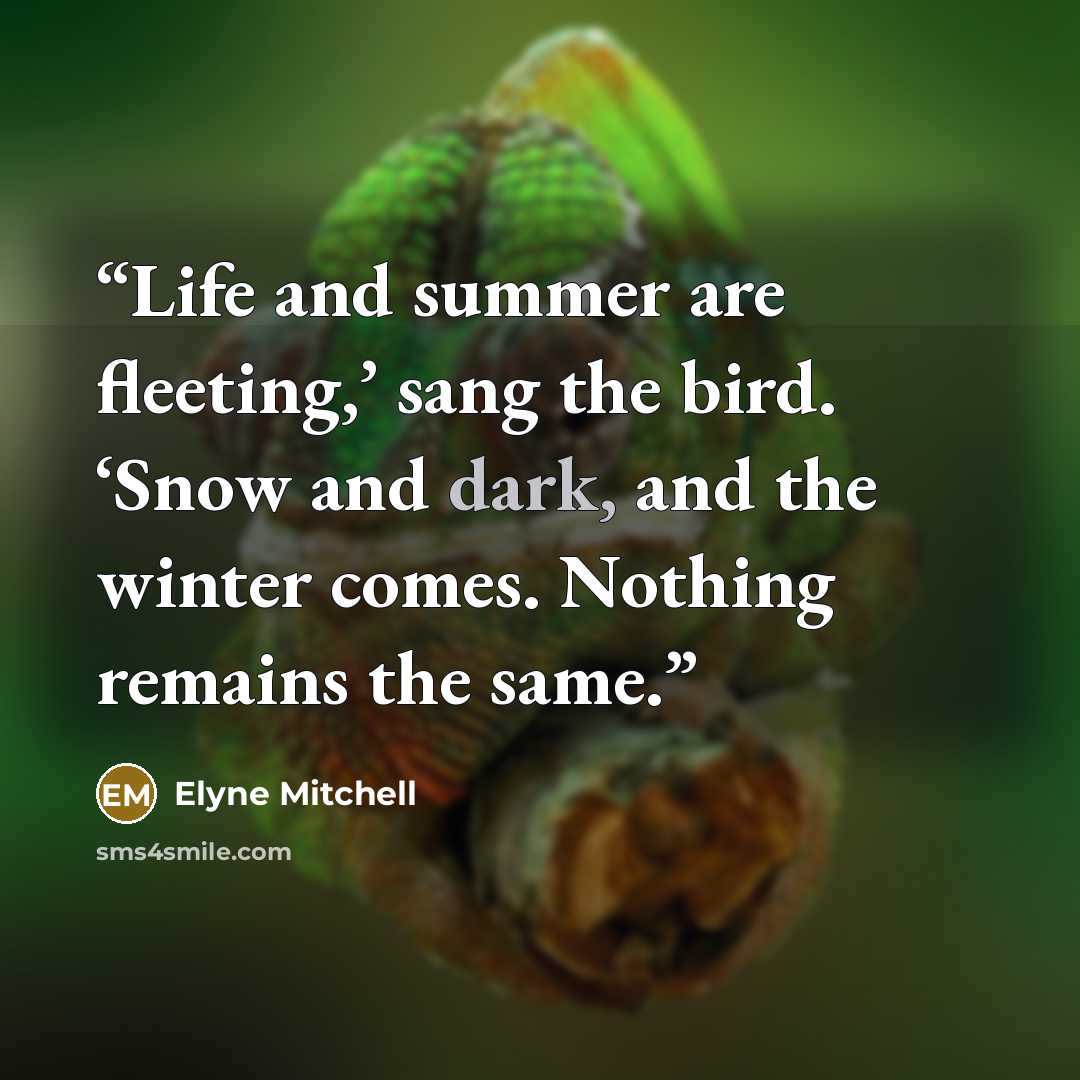 “Life and summer are fleeting,’ sang the bird. ‘Snow and dark, and the winter comes. Nothing remains the same.” quote by Elyne Mitchell