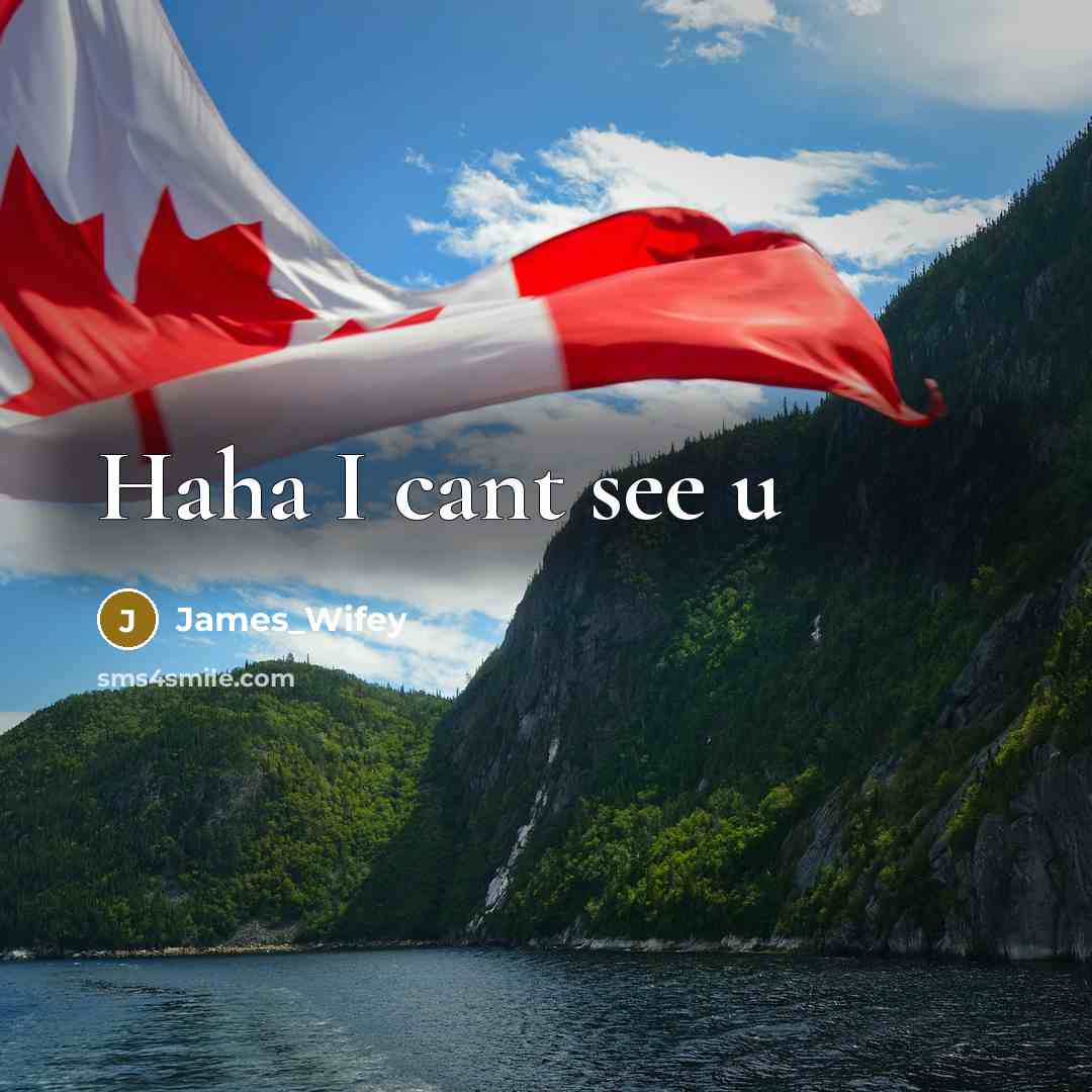 “Haha I cant see u” quote by James_Wifey