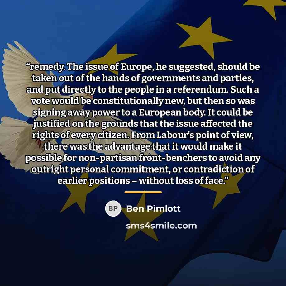 “remedy. The issue of Europe, he suggested, should be taken out of the hands of governments and parties, and put directly to the people in a referendum. Such a vote would be constitutionally new, but then so was signing away power to a European body. It could be justified on the grounds that the…” quote by Ben Pimlott