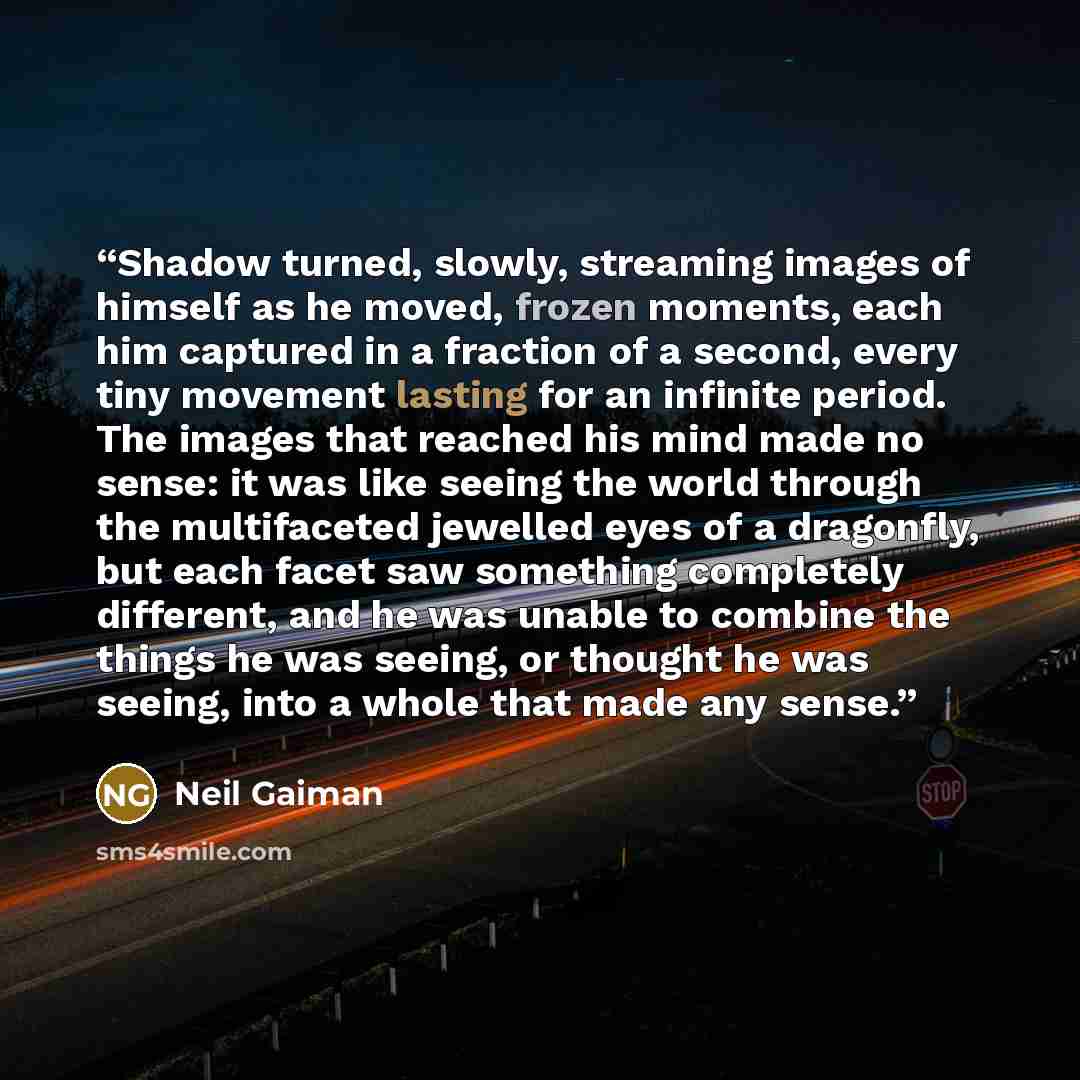 “Shadow turned, slowly, streaming images of himself as he moved, frozen moments, each him captured in a fraction of a second, every tiny movement lasting for an infinite period. The images that reached his mind made no sense: it was like seeing the world through the multifaceted jewelled eyes of a…” quote by Neil Gaiman