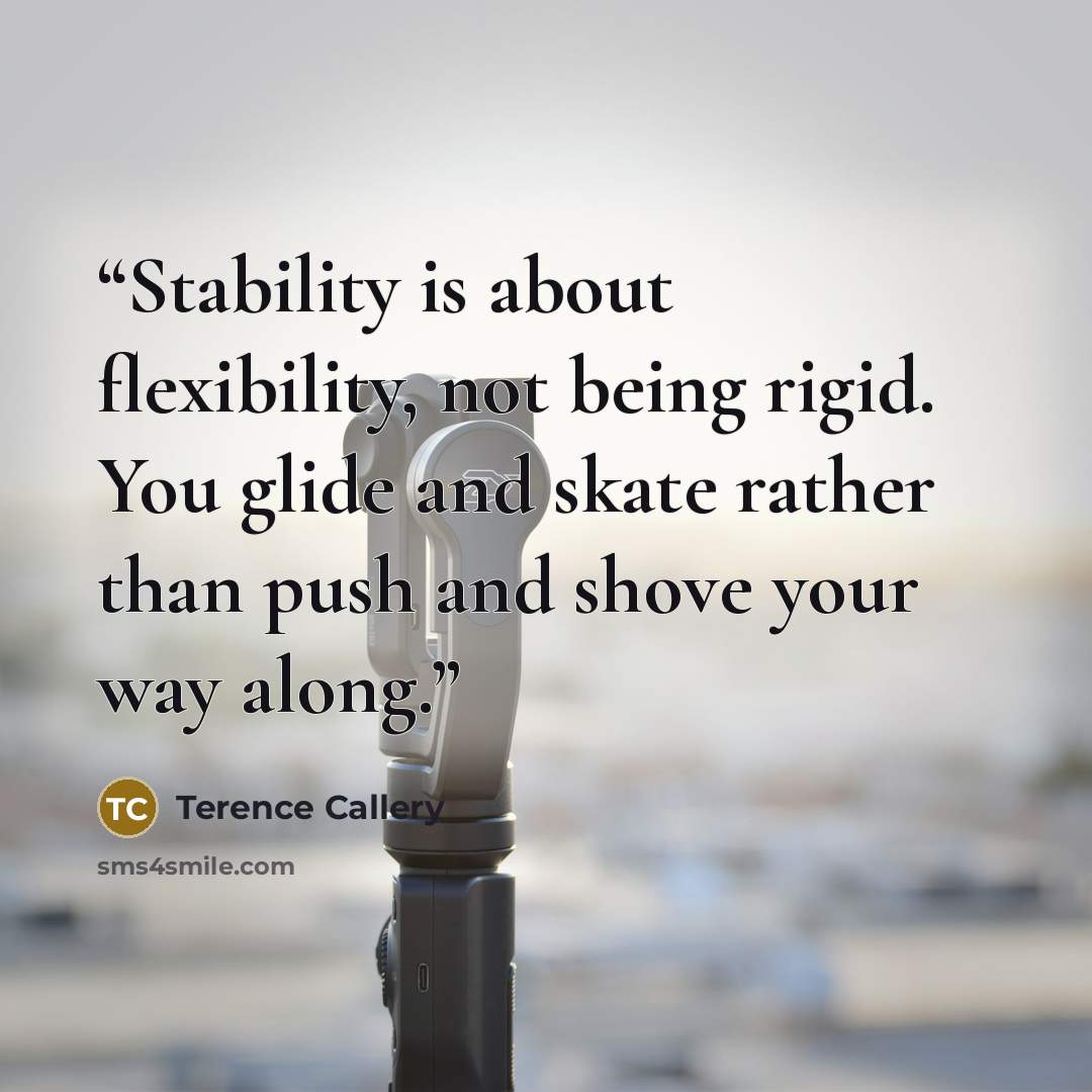 “Stability is about flexibility, not being rigid. You glide and skate rather than push and shove your way along.” quote by Terence Callery