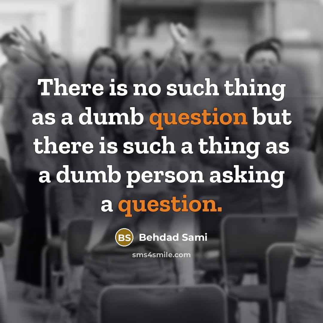 “There is no such thing as a dumb question but there is such a thing as a dumb person asking a question.” quote by Behdad Sami