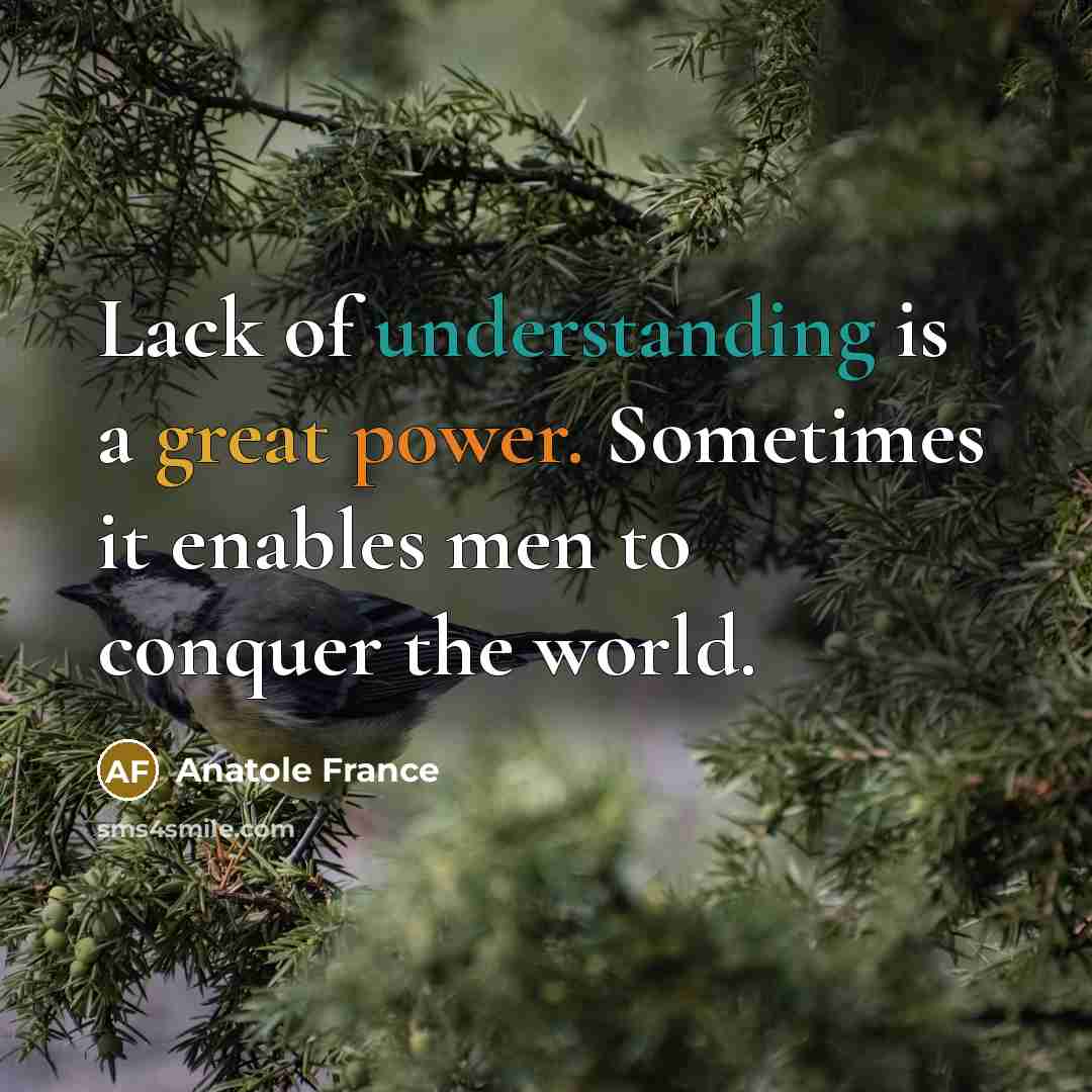 “Lack of understanding is a great power. Sometimes it enables men to conquer the world.” quote by Anatole France