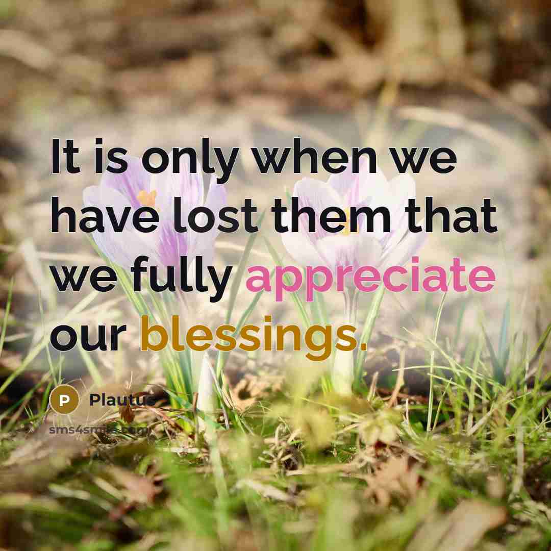 “It is only when we have lost them that we fully appreciate our blessings.” quote by Plautus