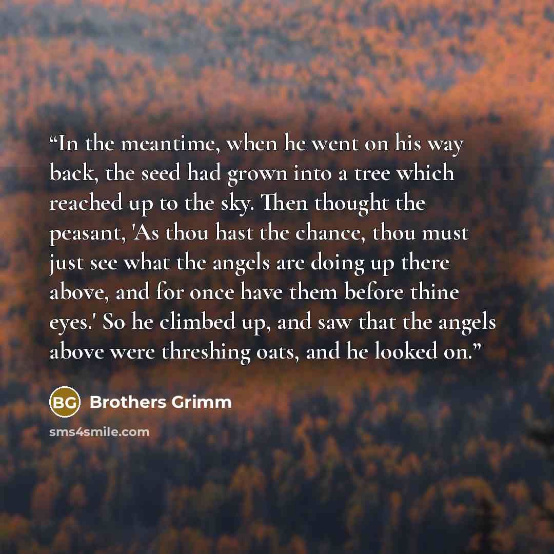 “In the meantime, when he went on his way back, the seed had grown into a tree which reached up to the sky. Then thought the peasant, 'As thou hast the chance, thou must just see what the angels are doing up there above, and for once have them before thine eyes.' So he climbed up, and saw that the…” quote by Brothers Grimm