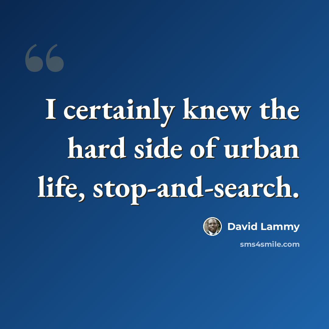 “I certainly knew the hard side of urban life, stop-and-search.” quote by David Lammy