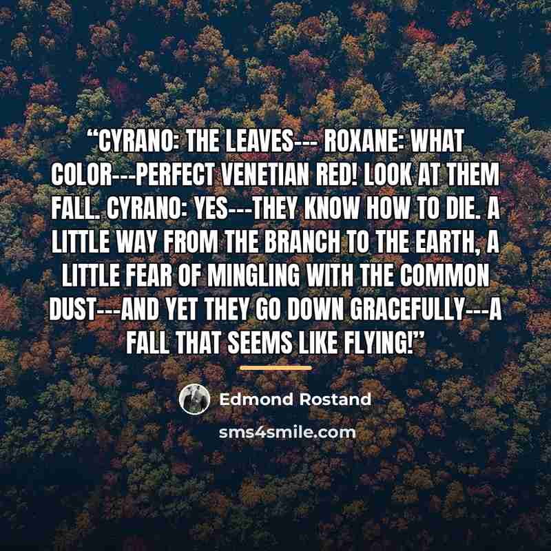 “Cyrano: The leaves--- Roxane: What color---Perfect Venetian red! Look at them fall. Cyrano: Yes---they know how to die. A little way From the branch to the earth, a little fear Of mingling with the common dust---and yet They go down gracefully---a fall that seems Like flying!” quote by Edmond Rostand
