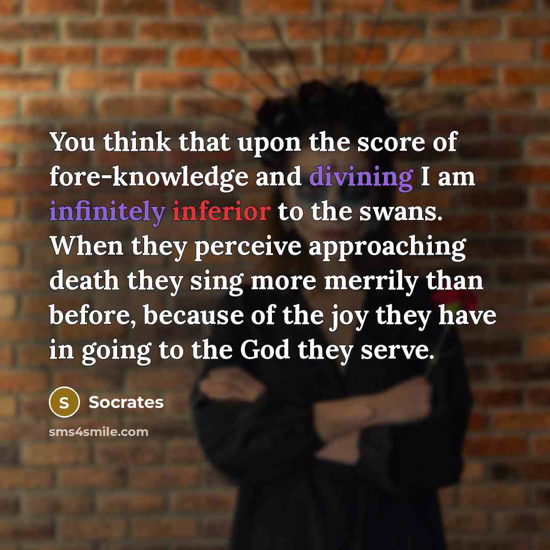 “You think that upon the score of fore-knowledge and divining I am infinitely inferior to the swans. When they perceive approaching death they sing more merrily than before, because of the joy they have in going to the God they serve.” quote by Socrates