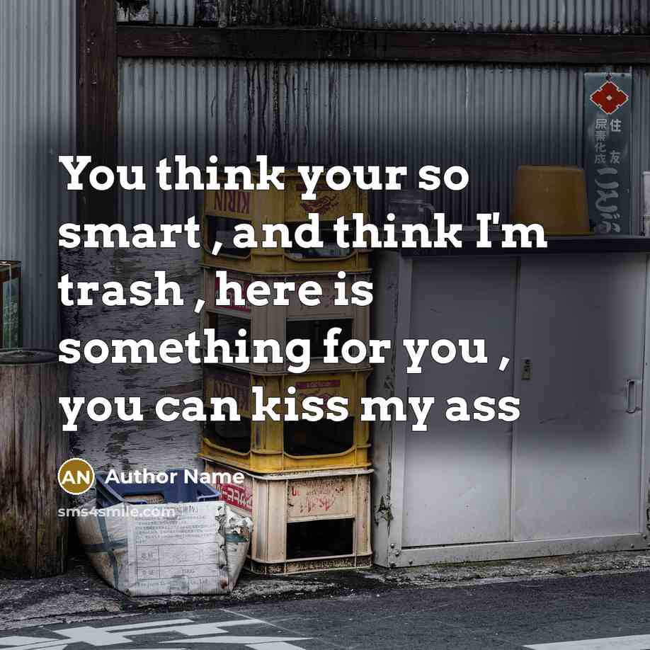 “You think your so smart , and think I'm trash , here is something for you , you can kiss my ass” quote by Author Name