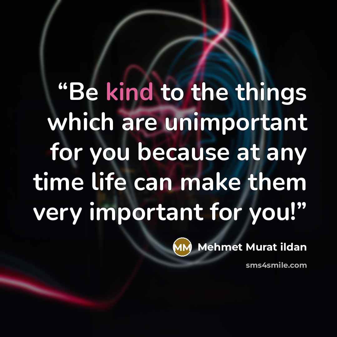 “Be kind to the things which are unimportant for you because at any time life can make them very important for you!” quote by Mehmet Murat ildan
