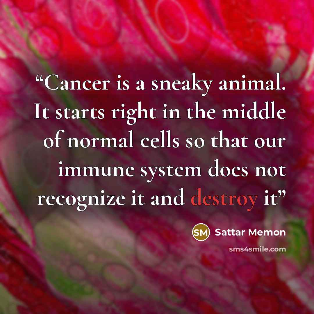 “Cancer is a sneaky animal. It starts right in the middle of normal cells so that our immune system does not recognize it and destroy it” quote by Sattar Memon