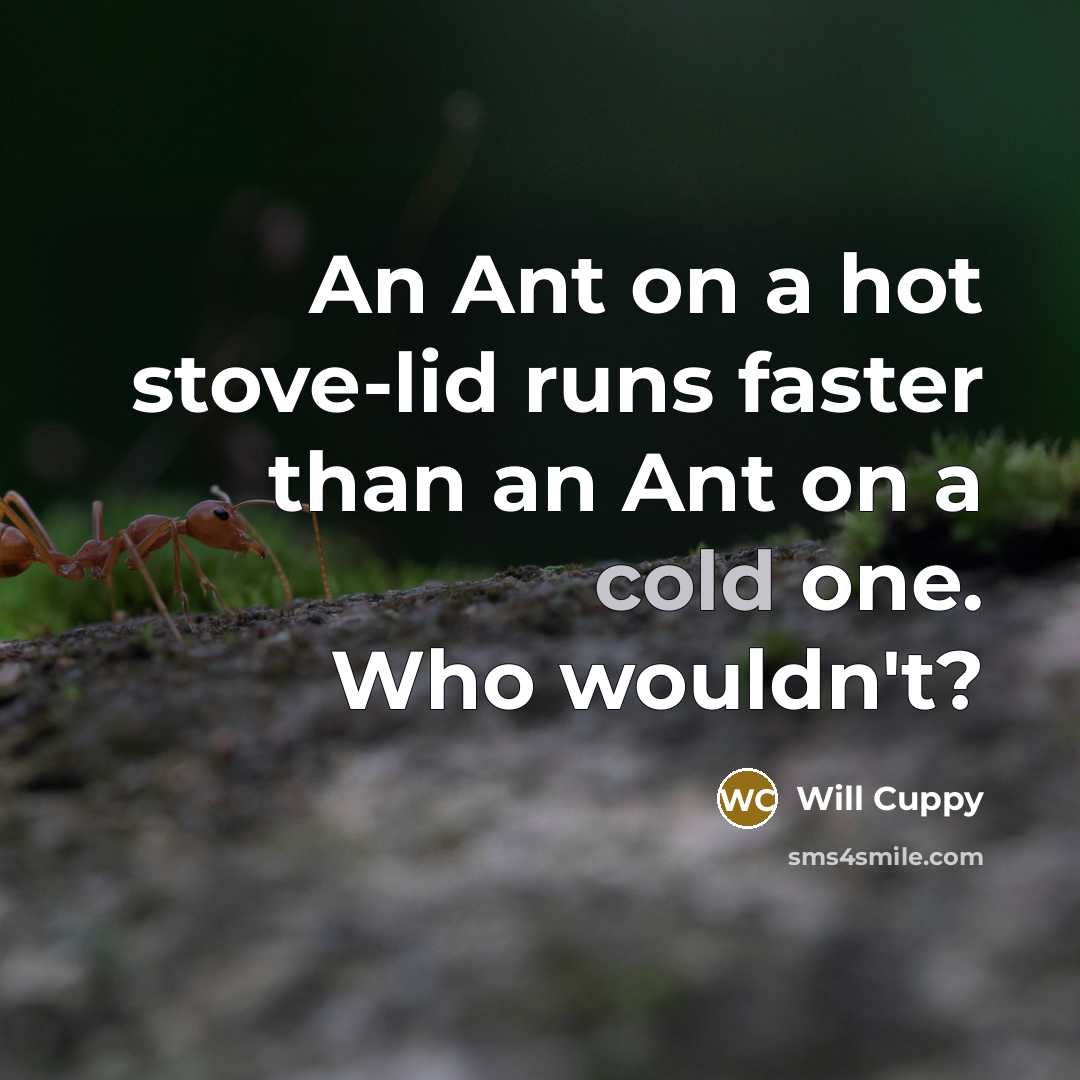 “An Ant on a hot stove-lid runs faster than an Ant on a cold one. Who wouldn't?” quote by Will Cuppy