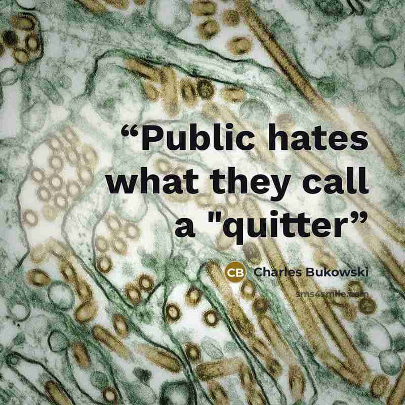“Public hates what they call a "quitter” quote by Charles Bukowski