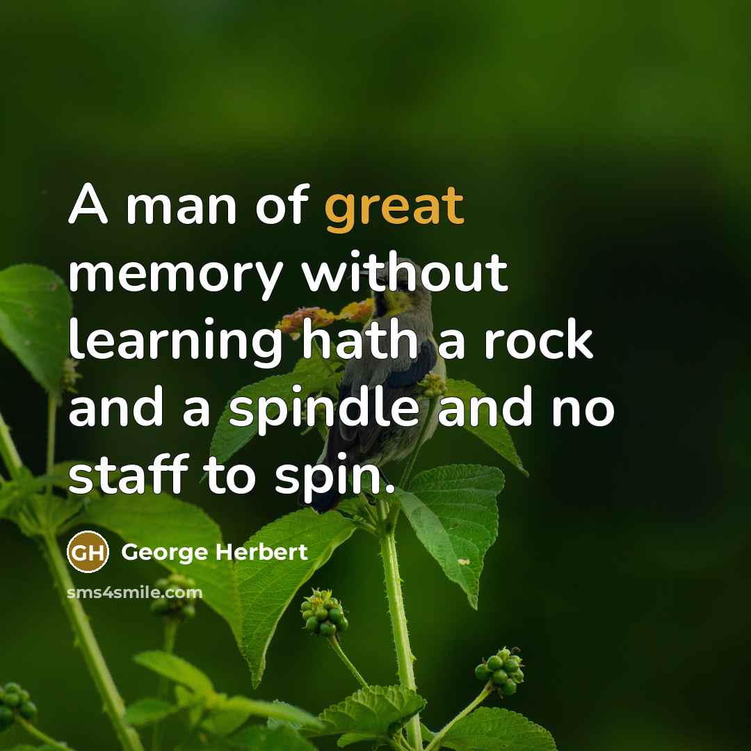 “A man of great memory without learning hath a rock and a spindle and no staff to spin.” quote by George Herbert