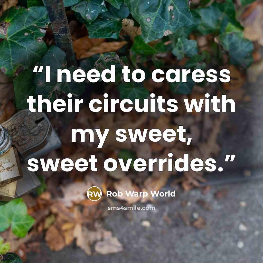 “I need to caress their circuits with my sweet, sweet overrides.” quote by Rob Warp World