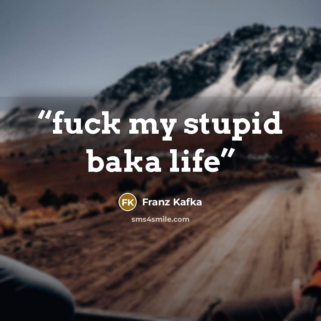 “fuck my stupid baka life” quote by Franz Kafka
