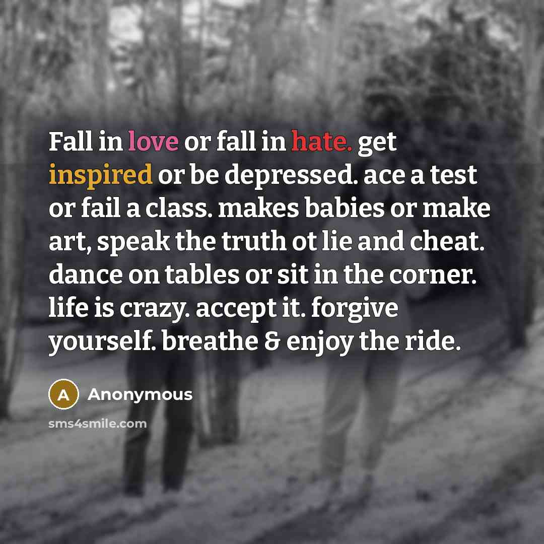 “Fall in love or fall in hate. get inspired or be depressed. ace a test or fail a class. makes babies or make art, speak the truth ot lie and cheat. dance on tables or sit in the corner. life is crazy. accept it. forgive yourself. breathe & enjoy the ride.” quote by Anonymous