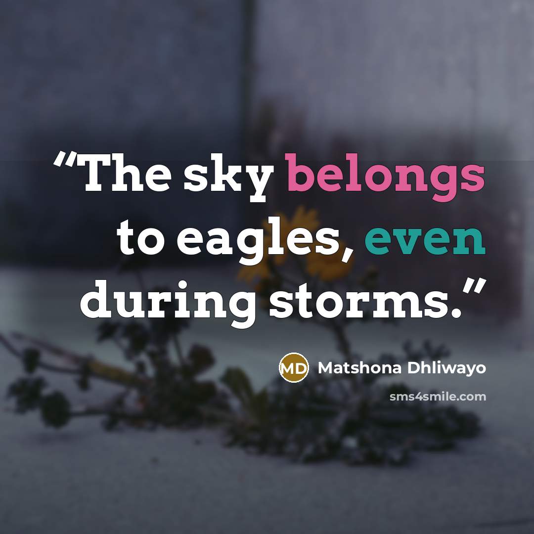 “The sky belongs to eagles, even during storms.” quote by Matshona Dhliwayo