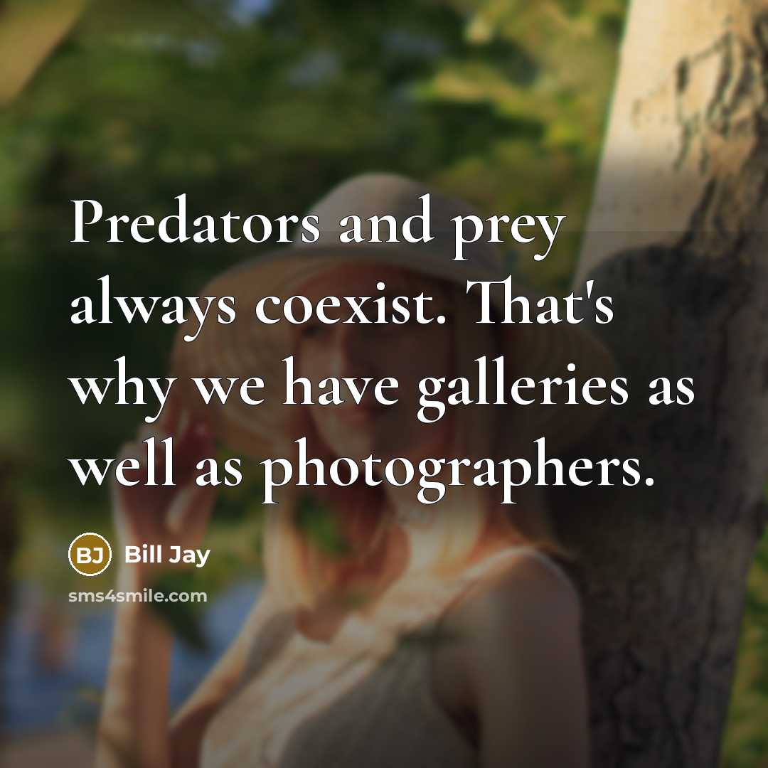 “Predators and prey always coexist. That's why we have galleries as well as photographers.” quote by Bill Jay
