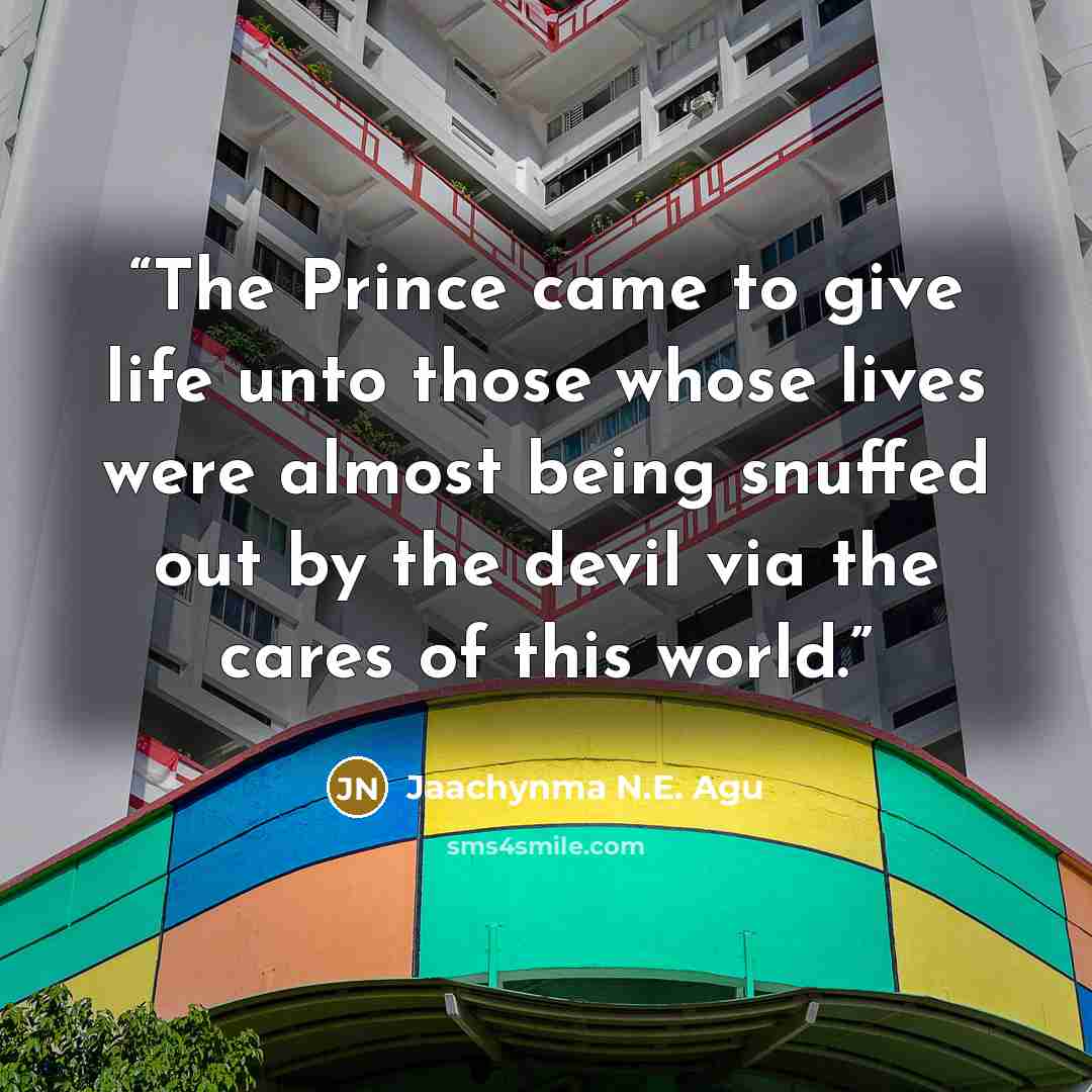 “The Prince came to give life unto those whose lives were almost being snuffed out by the devil via the cares of this world.” quote by Jaachynma N.E. Agu