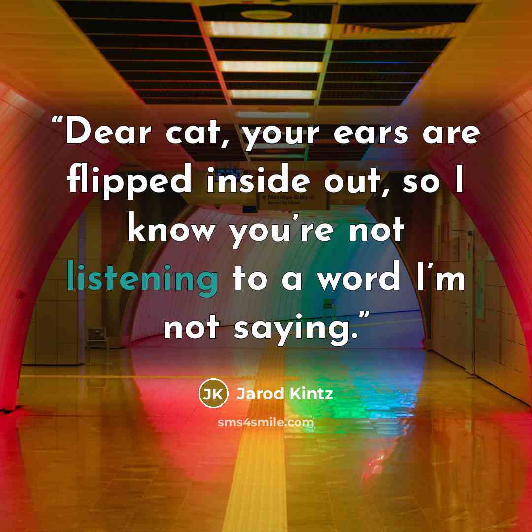 “Dear cat, your ears are flipped inside out, so I know you’re not listening to a word I’m not saying.” quote by Jarod Kintz