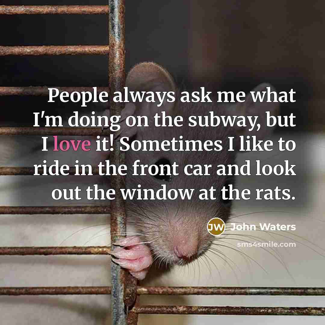“People always ask me what I'm doing on the subway, but I love it! Sometimes I like to ride in the front car and look out the window at the rats.” quote by John Waters