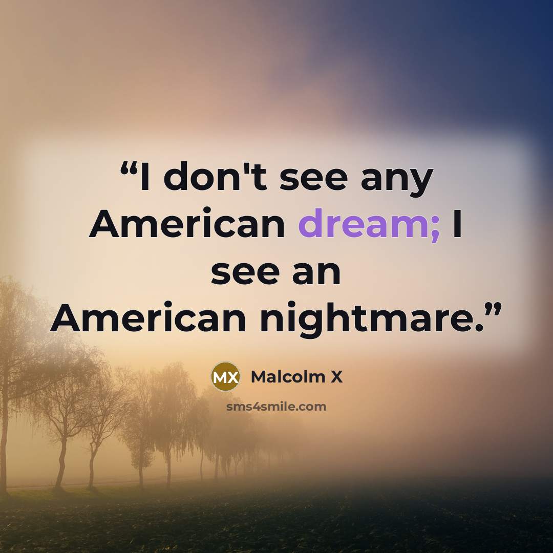 “I don't see any American dream; I see an American nightmare.” quote by Malcolm X