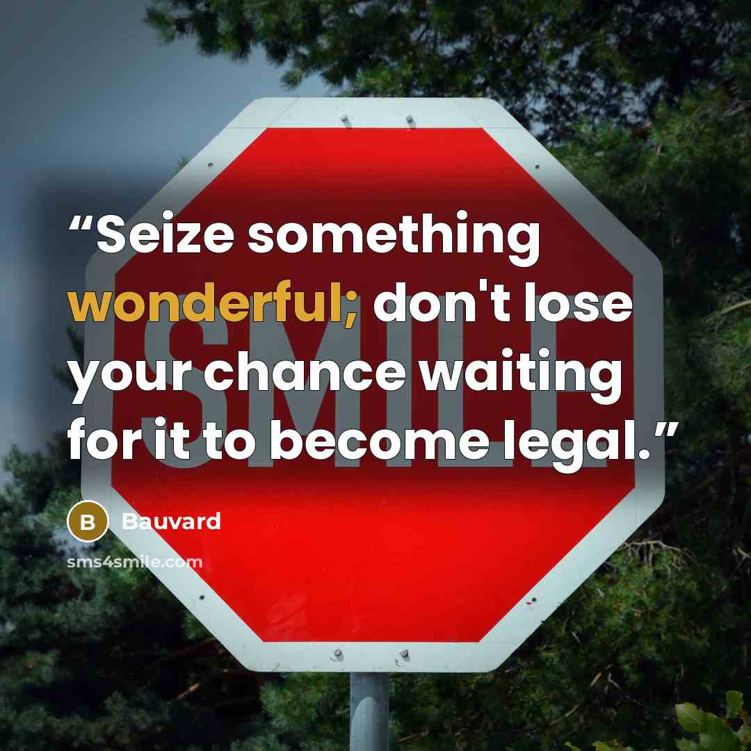 “Seize something wonderful; don't lose your chance waiting for it to become legal.” quote by Bauvard