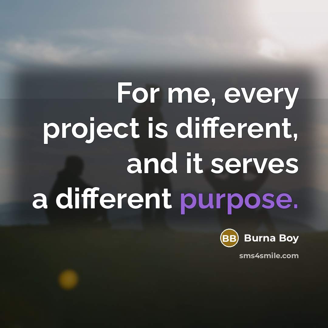 “For me, every project is different, and it serves a different purpose.” quote by Burna Boy
