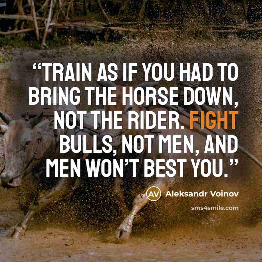 “Train as if you had to bring the horse down, not the rider. Fight bulls, not men, and men won’t best you.” quote by Aleksandr Voinov