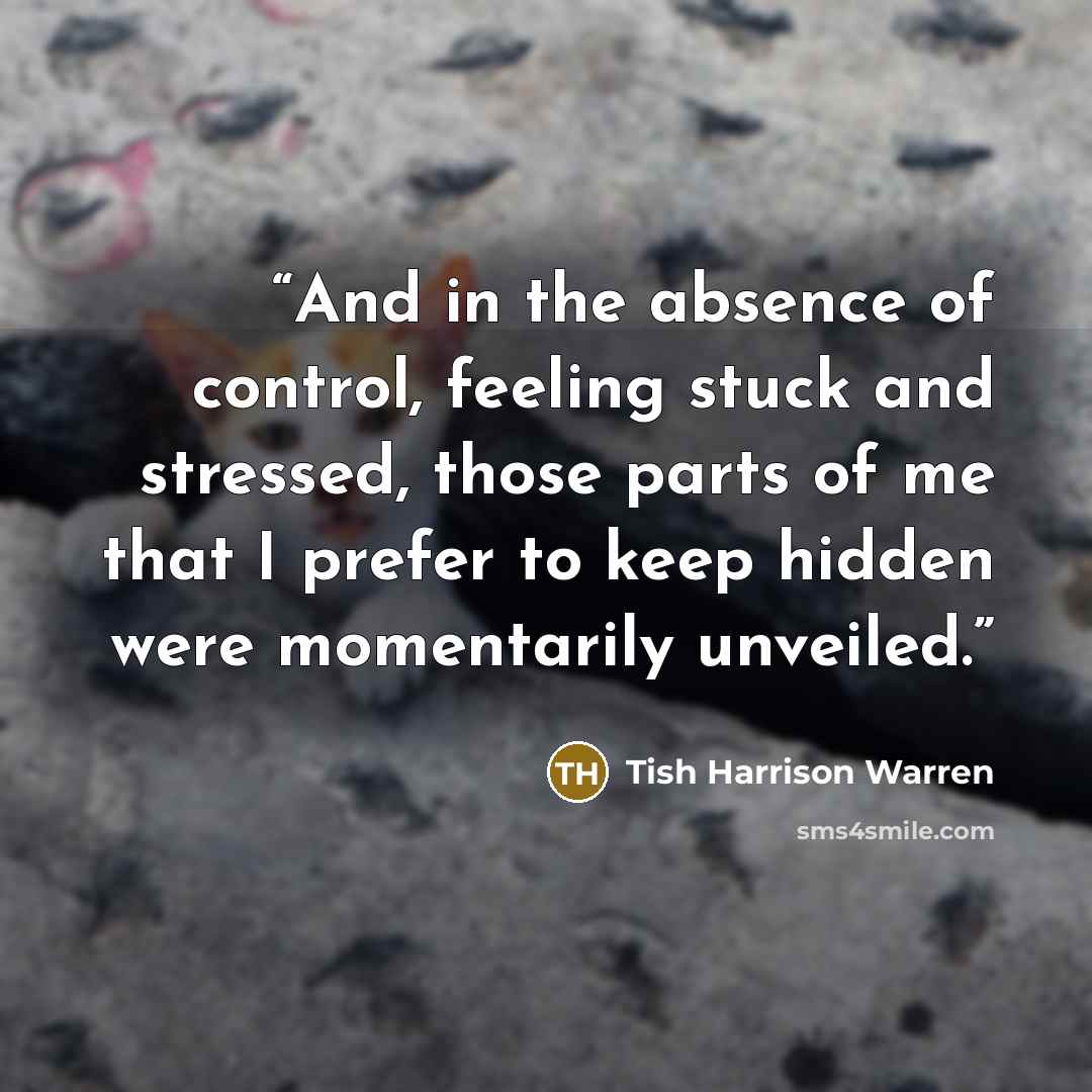 “And in the absence of control, feeling stuck and stressed, those parts of me that I prefer to keep hidden were momentarily unveiled.” quote by Tish Harrison Warren