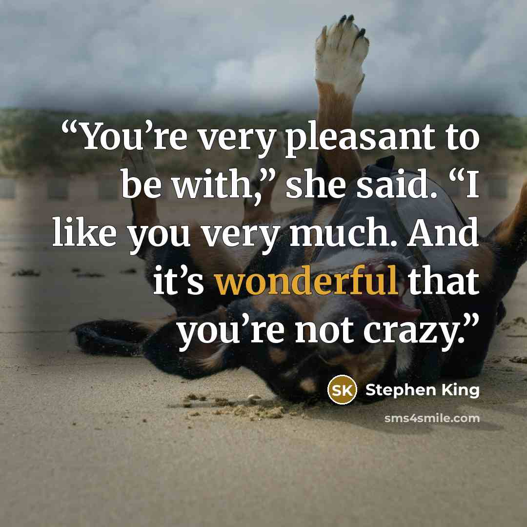 “You’re very pleasant to be with,” she said. “I like you very much. And it’s wonderful that you’re not crazy.” quote by Stephen King