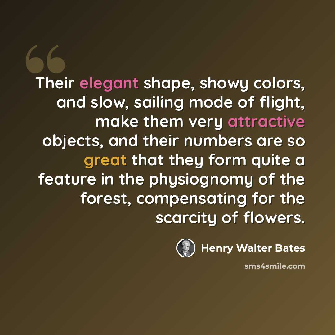 “Their elegant shape, showy colors, and slow, sailing mode of flight, make them very attractive objects, and their numbers are so great that they form quite a feature in the physiognomy of the forest, compensating for the scarcity of flowers.” quote by Henry Walter Bates