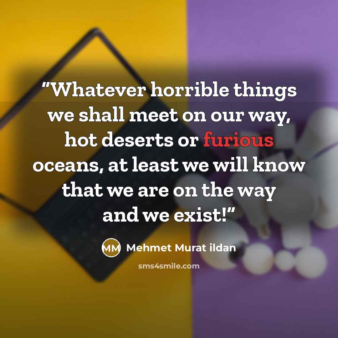 “Whatever horrible things we shall meet on our way, hot deserts or furious oceans, at least we will know that we are on the way and we exist!” quote by Mehmet Murat ildan