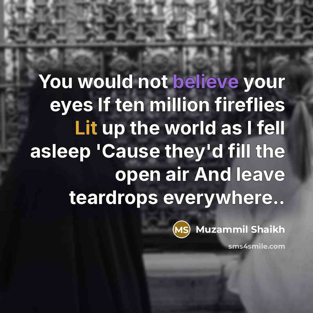 “You would not believe your eyes If ten million fireflies Lit up the world as I fell asleep 'Cause they'd fill the open air And leave teardrops everywhere..” quote by Muzammil Shaikh