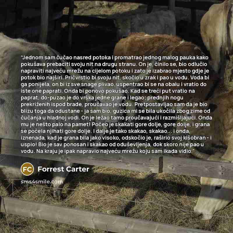 “Jednom sam čučao nasred potoka i promatrao jednog malog pauka kako pokušava prebaciti svoju nit na drugu stranu. On je, činilo se, bio odlučio napraviti najveću mrežu na cijelom potoku i zato je izabrao mjesto gdje je potok bio najširi. Pričvrstio bi svoju nit, skočio u zrak i pao u vodu. Voda bi…” quote by Forrest Carter