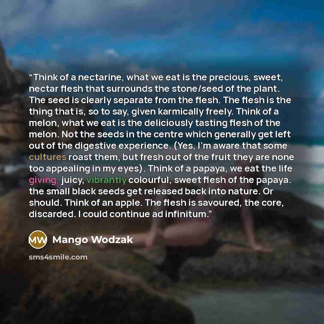 “Think of a nectarine, what we eat is the precious, sweet, nectar flesh that surrounds the stone/seed of the plant. The seed is clearly separate from the flesh. The flesh is the thing that is, so to say, given karmically freely. Think of a melon, what we eat is the deliciously tasting flesh of the…” quote by Mango Wodzak